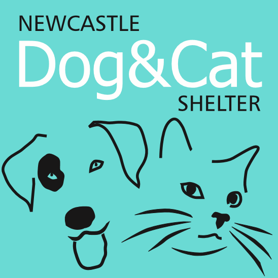 dog and cat shelter