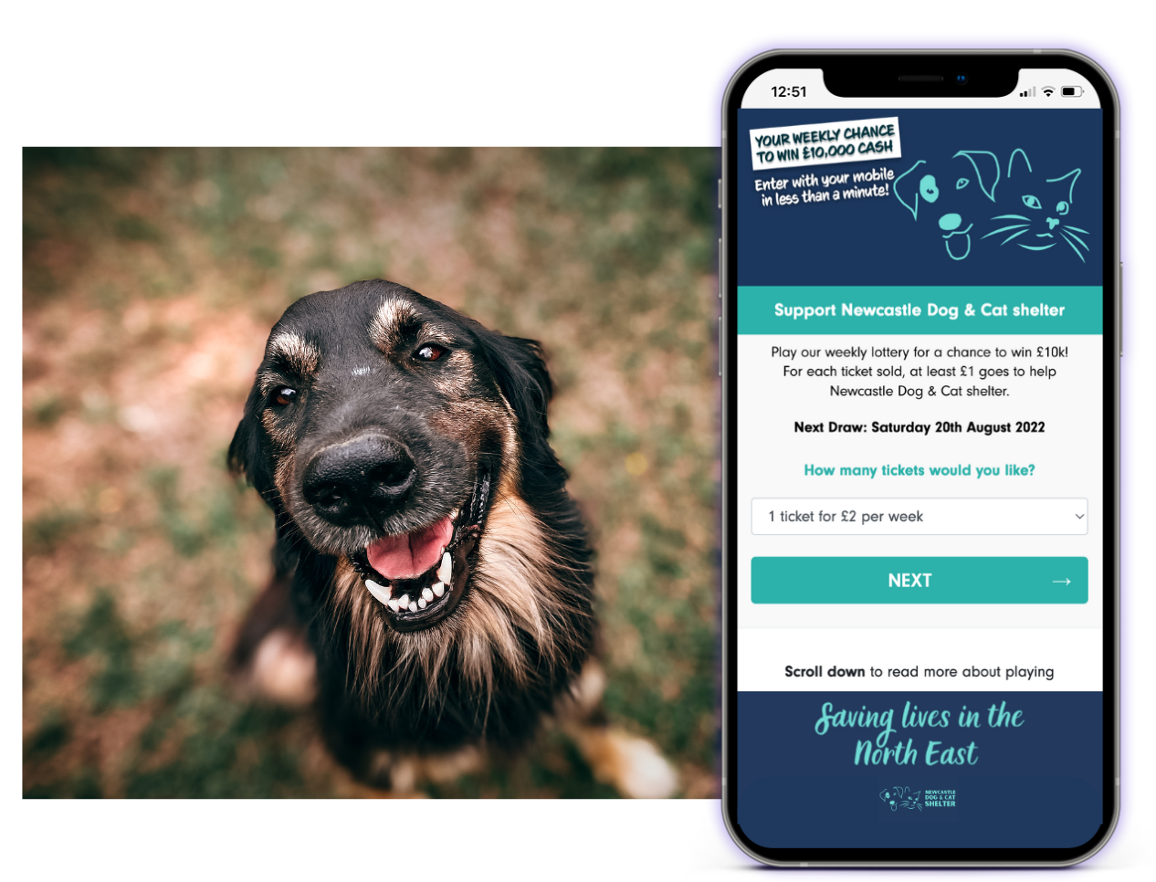 Image of happy dog alongside screenshot of Newcastle Dog & Cat Shelter Mobile Lottery page